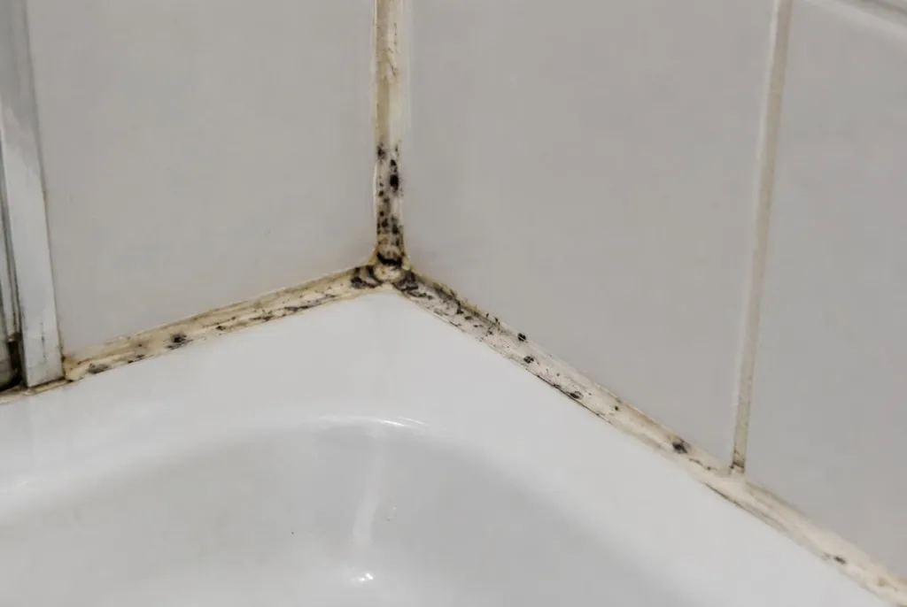 Kitbedrijf Bussum – beschimmelde kitranden